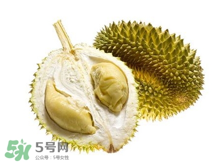 榴蓮籽能種嗎？榴蓮籽怎么種小盆栽？