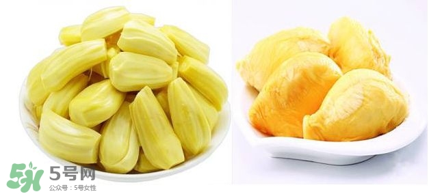 榴蓮和菠蘿蜜一樣嗎？榴蓮和菠蘿蜜哪個營養(yǎng)好？