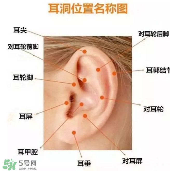 打耳洞多少錢一對？打耳洞相當于什么疼