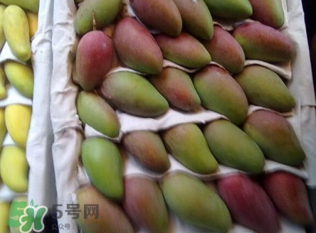 芒果有哪些品種？哪種芒果最好吃？