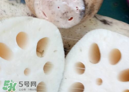 粉藕和脆藕的區別_粉藕和脆藕怎么選
