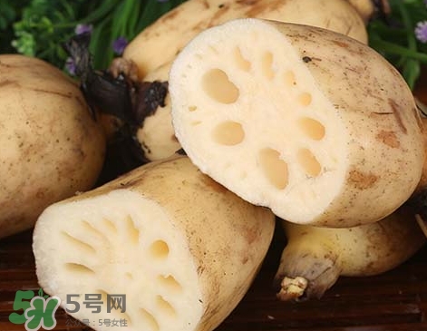 粉藕和脆藕的區別_粉藕和脆藕怎么選