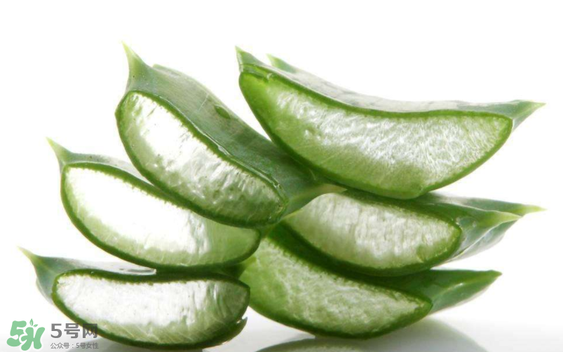 敏感肌能使用蘆薈護膚嗎？蘆薈膠有什么用？