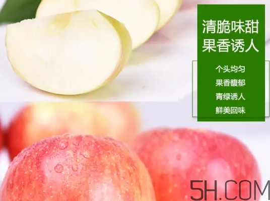 美八蘋果價格多少錢？美八蘋果多少錢一斤？