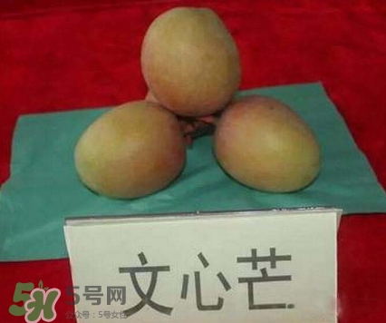 芒果有哪些品種？哪種芒果最好吃？