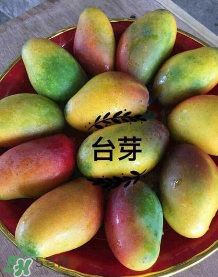 芒果有哪些品種？哪種芒果最好吃？