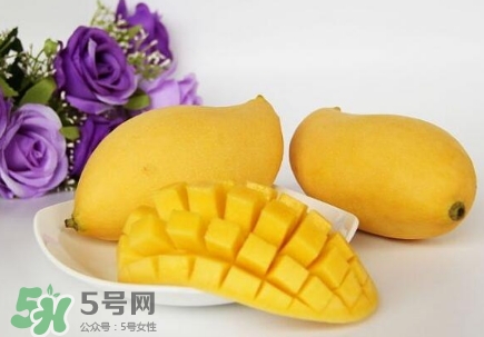芒果有哪些品種？哪種芒果最好吃？