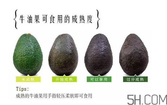 牛油果和香蕉一起能多吃嗎？牛油果挑什么樣的好？