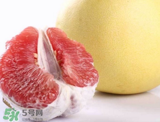 紅肉蜜柚是哪里產的？紅肉蜜柚的種植技術