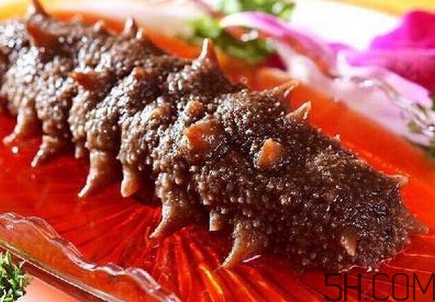 海參能和西紅柿一起吃嗎？海參和什么一起吃最好？