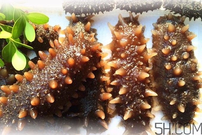 海參能和西紅柿一起吃嗎？海參和什么一起吃最好？