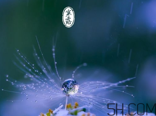 2017年寒露會(huì)下雨嗎？寒露下雨好嗎？