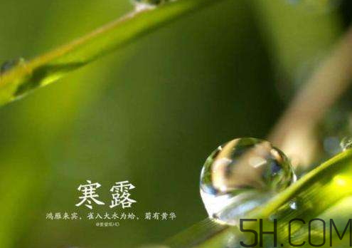 2017年寒露會(huì)下雨嗎？寒露下雨好嗎？