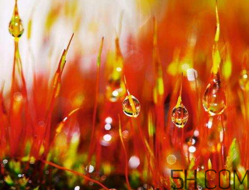 2017年寒露會(huì)下雨嗎？寒露下雨好嗎？