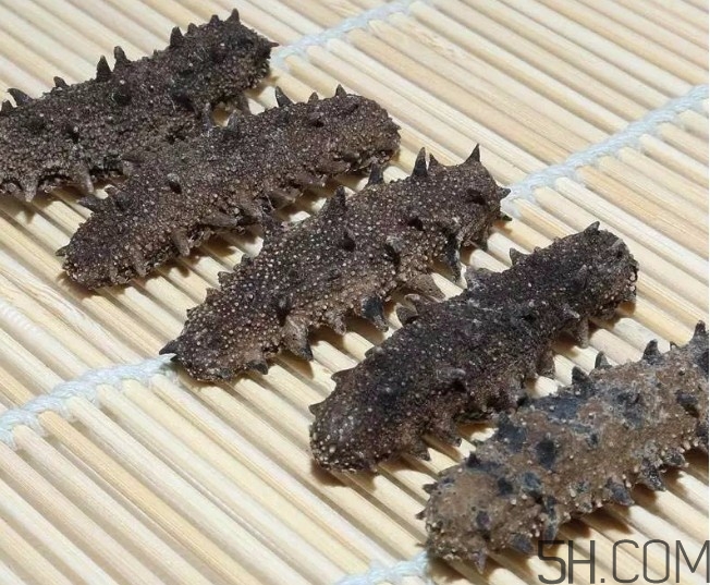 海參顏色深好還是淺好？海參顏色發白時怎么回事？