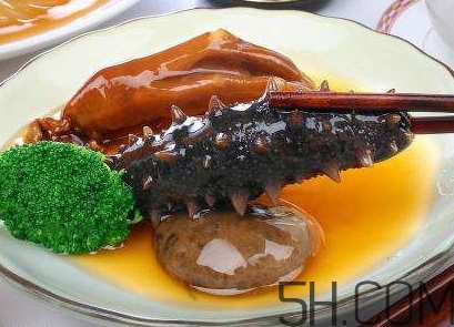 海參是海鮮嗎？海參是動物還是植物？