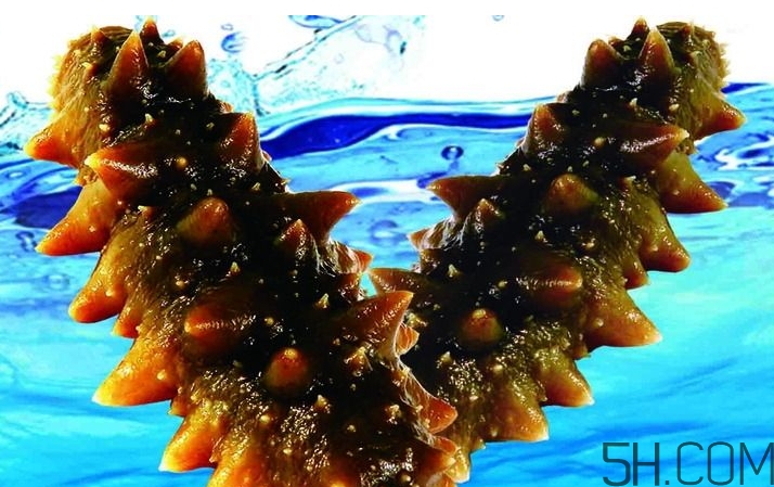 海參是酸性還是堿性？海參是涼性還是熱性？