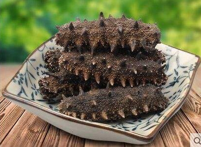 海參刺多好還是刺少好？海參沒有刺是怎么回事？
