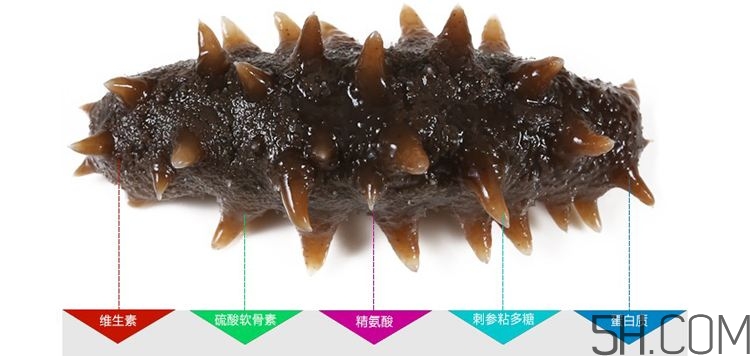 海參哪些部位不能吃？海參的禁忌人群