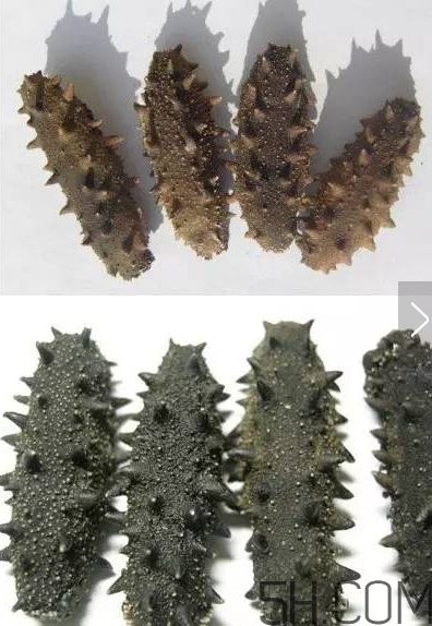 海參顏色深好還是淺好？海參顏色發白時怎么回事？
