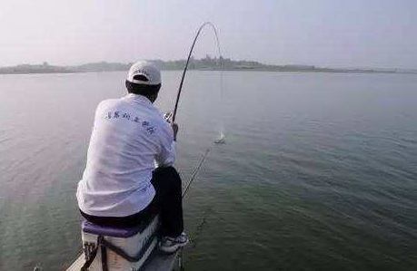 大蒜泡酒能釣魚(yú)嗎？大蒜泡酒釣魚(yú)的方法