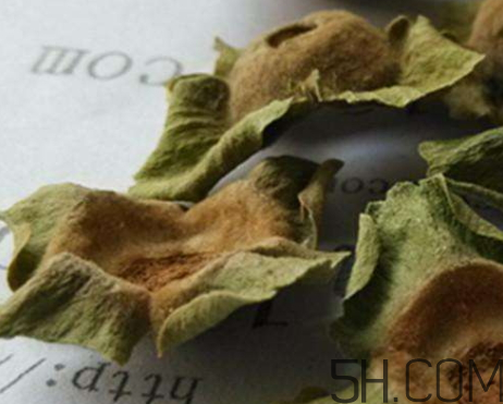柿蒂治打嗝怎么煮水？柿蒂的功效與作用