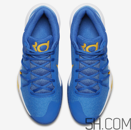 nike kd trey 5 v warriors勇士配色多少錢_在哪買？