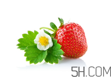 吃了發(fā)霉的草莓怎么辦？怎樣挑選草莓？