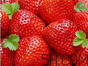 草莓都有哪些熱門品種？草莓怎么放不容易壞？