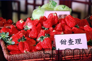 草莓都有哪些熱門品種？草莓怎么放不容易壞？