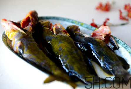 黃骨魚(yú)不能和什么一起吃？黃骨魚(yú)不適合什么人吃？