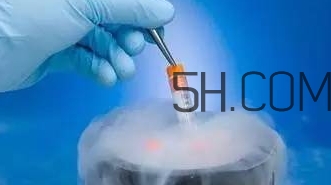 試管嬰兒有什么風險？試管嬰兒長大后的弊端