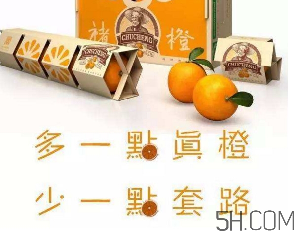 褚橙真的那么好吃嗎？褚橙哪里可以買到