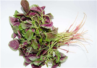 莧菜是酸性還是堿性？吃莧菜有什么好處？
