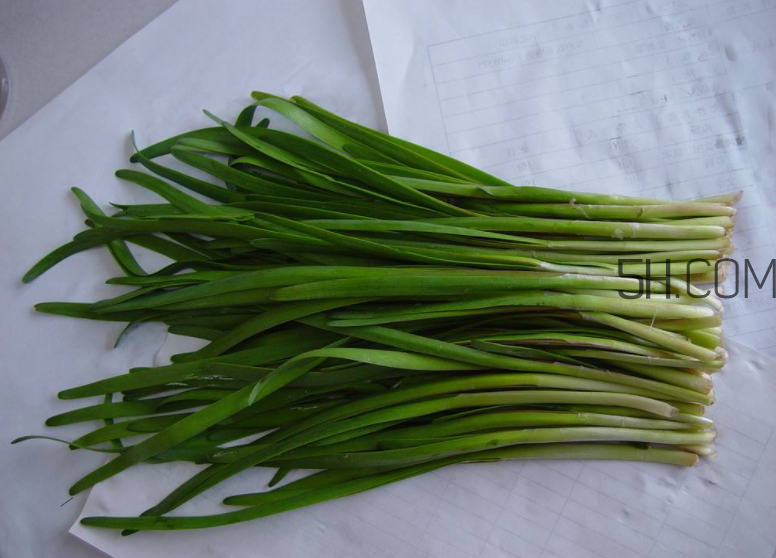 韭菜怎么保存？韭菜傷胃嗎？