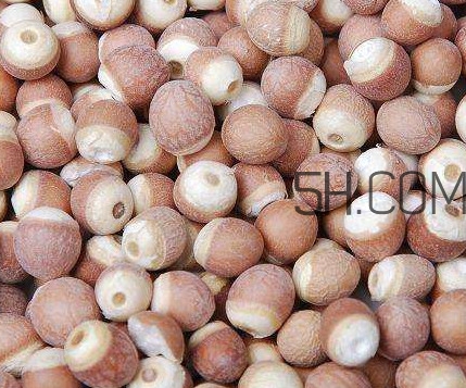 芡實是中藥嗎？芡實哪里可以買到