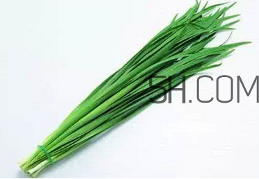 立秋后可以種韭菜嗎？怎樣種韭菜？