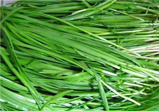 秋天吃韭菜好嗎？韭菜和莧菜能一起吃嗎？