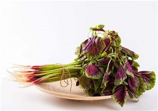 莧菜為什么是紅的？莧菜是涼性的嗎？
