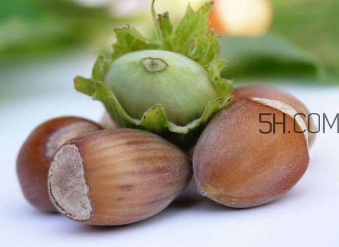 榛子生吃好還是熟吃好？榛子怎么吃營養(yǎng)價值高？