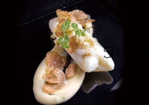 ç™½æ¾éœ²æ˜¯ä»€ä¹ˆï¼Ÿç™½æ¾éœ²çš„åŠŸæ•ˆèˆ‡ä½œç”¨