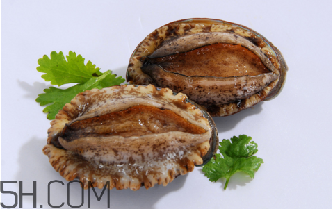 鮑魚吃了會上火嗎？鮑魚是發(fā)物嗎？