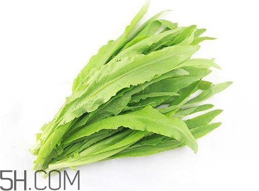 油麥菜是轉基因蔬菜嗎？油麥菜是發物嗎