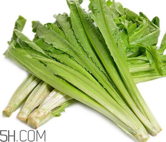 油麥菜是酸性還是堿性？油麥菜是什么季節(jié)的菜