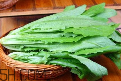 油麥菜為什么叫油麥菜？油菜和油麥菜的區別