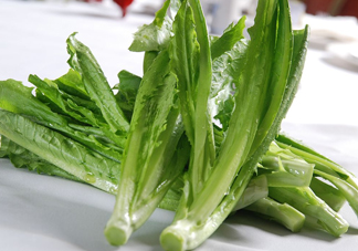 油麥菜為什么叫油麥菜？油菜和油麥菜的區別