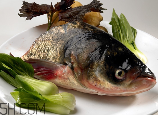 胖頭魚有什么營養？胖頭魚是鰱魚嗎