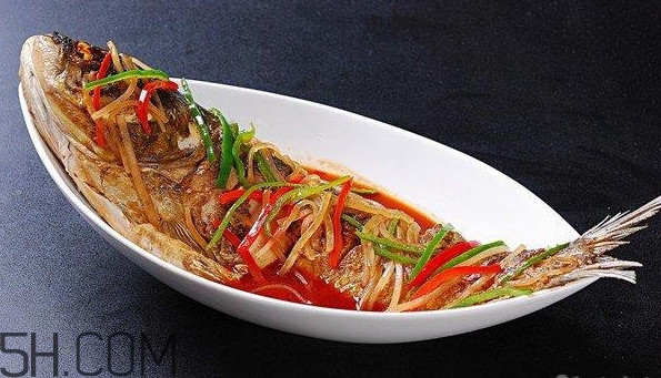 胖頭魚是什么魚？胖頭魚是發(fā)物嗎