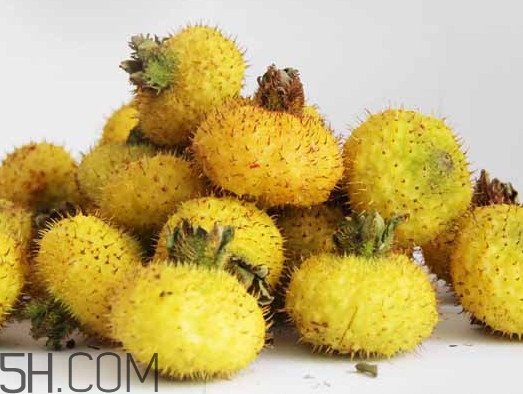 刺梨能降血壓嗎？刺梨是哪里的特產