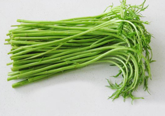 藜蒿多少錢一斤？藜蒿和蘆蒿是同一種菜嗎？